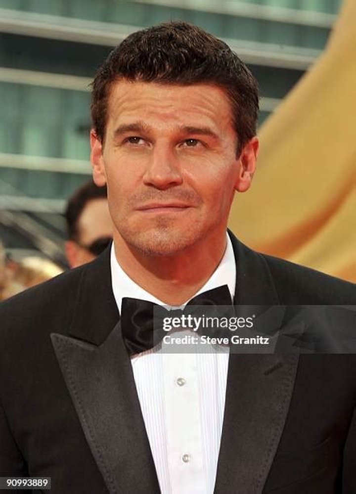 Actor David Boreanaz arrives at the Us Weekly Hot Hollywood Style Issue Event in Hollywood, California