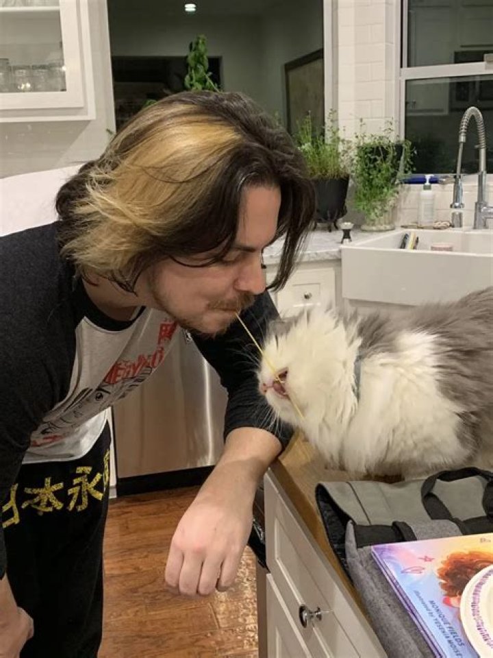 Arin Hanson Pets