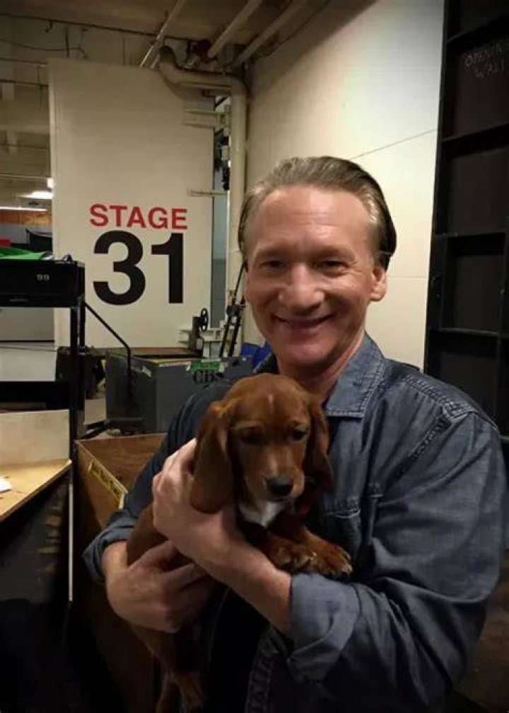 Bill Maher Pets