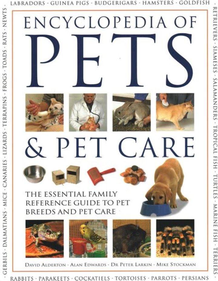 David Castañeda Pets