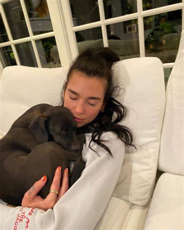Dua Lipa Pets