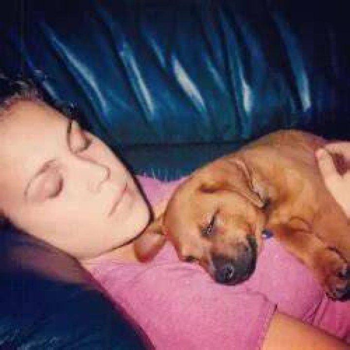 Erin Krakow Pets