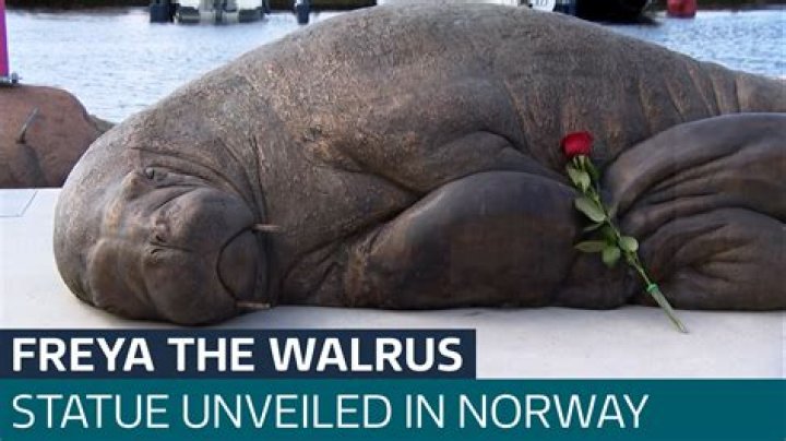 Freya Walrus Statue in Oslo Norway