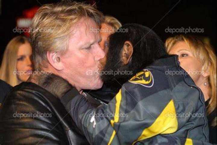 Gary Busey the Chimp