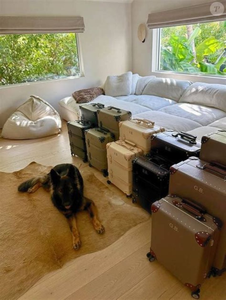 Gisele B&uuml;ndchen Pets