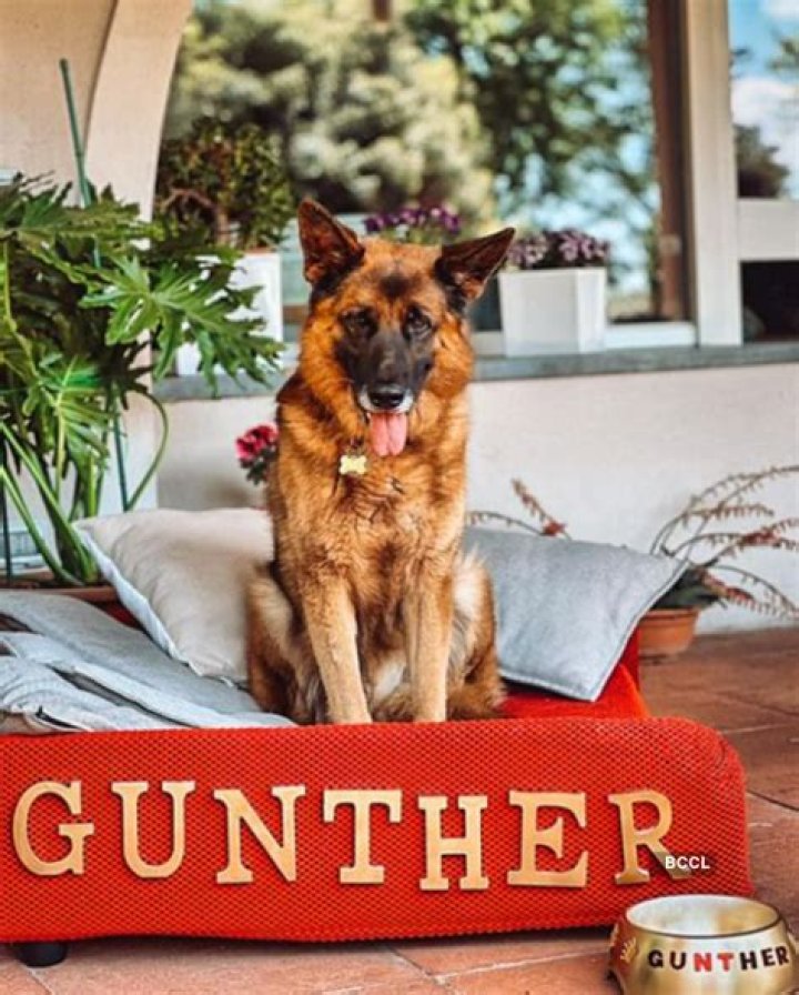 Gunther VI Instagram