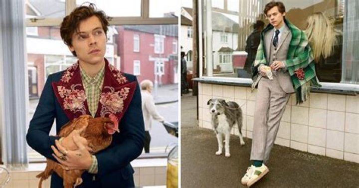 Harry Styles Pets
