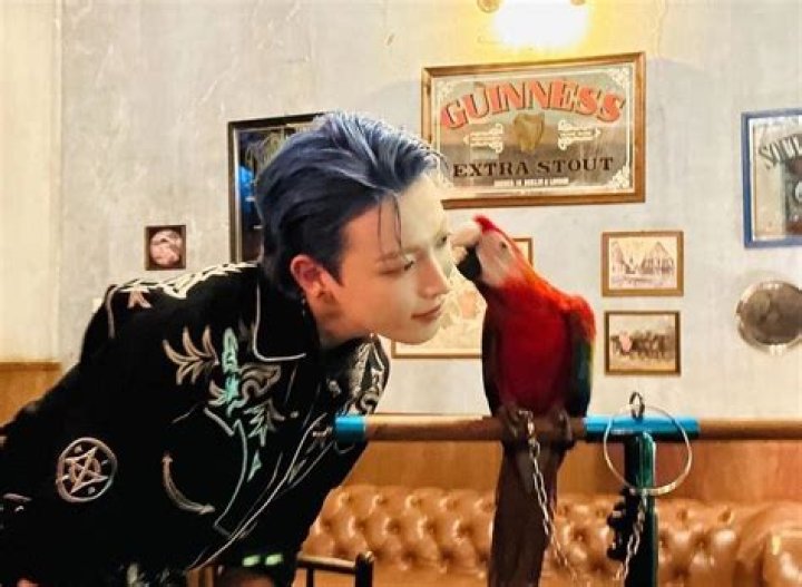 Hongjoong Pets