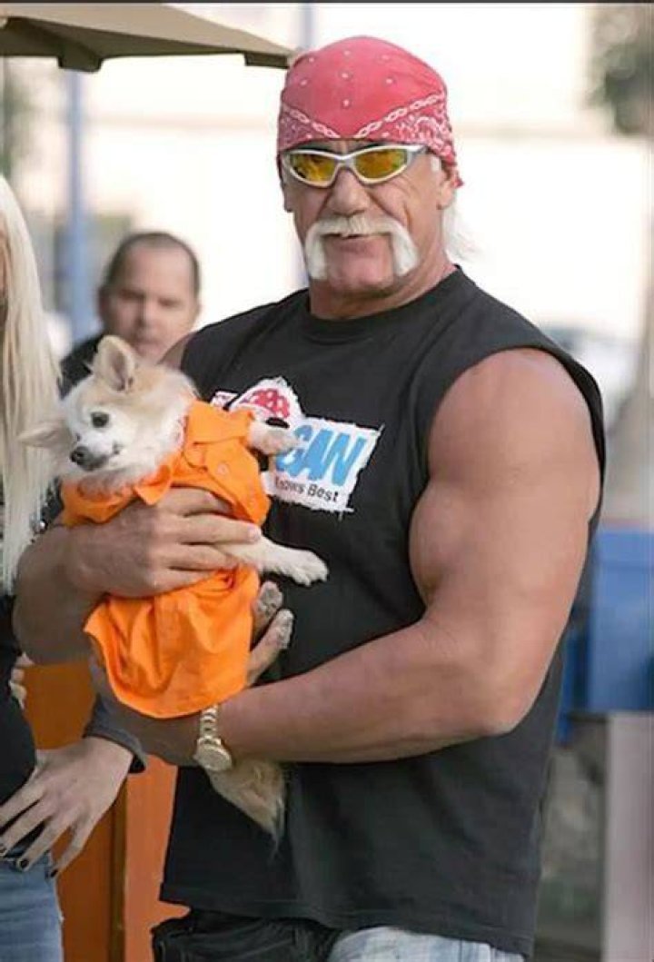 Hulk Hogan Pets