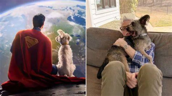 James Gunn Pets
