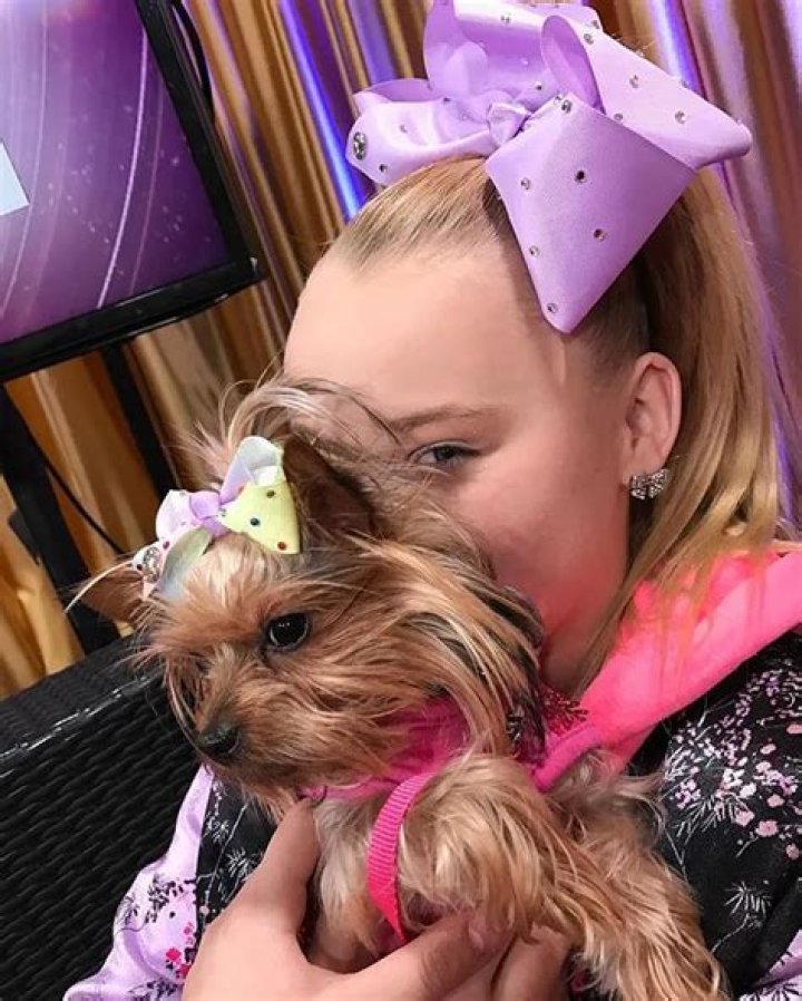 JoJo Siwa Pets