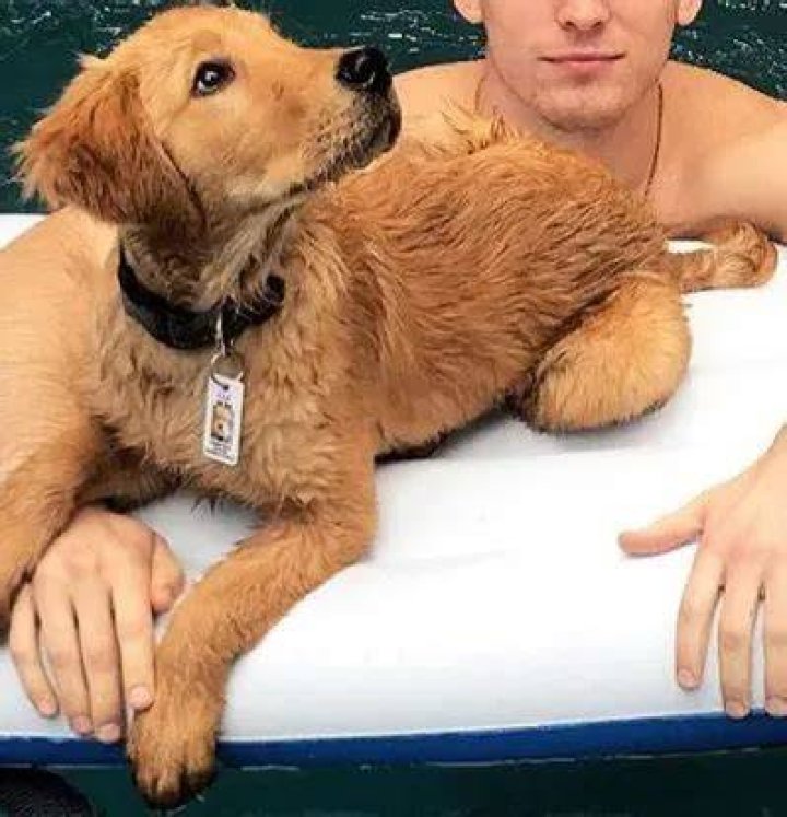 Josh Dun Pets