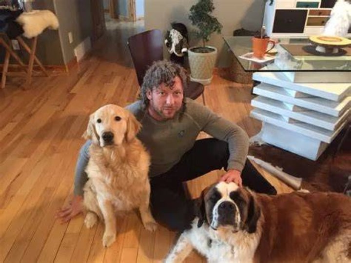 Kenny Omega Pets