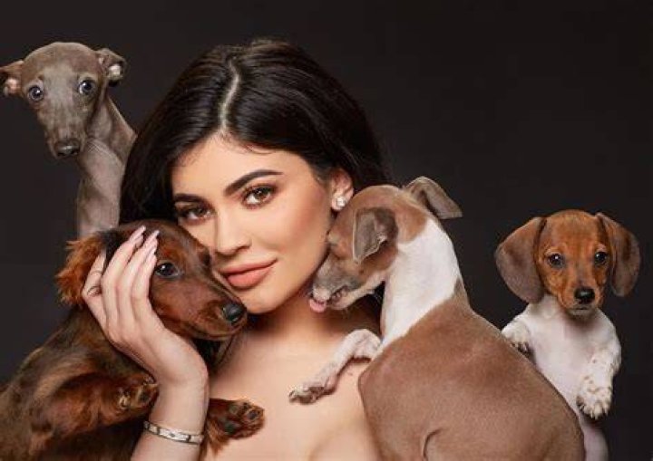 Kylie Jenner Pets