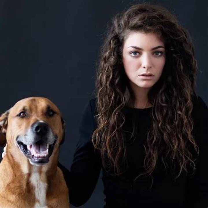 Lorde Pets