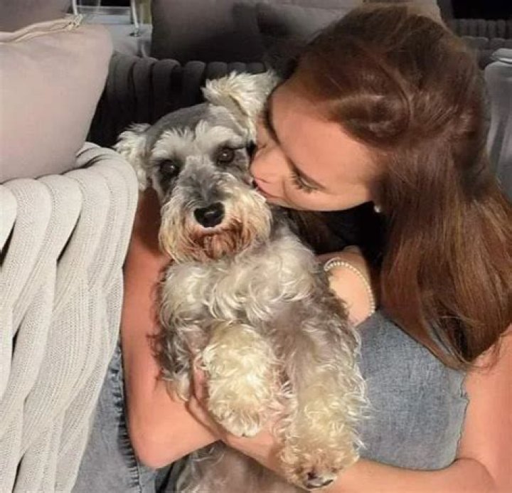 Lucy Clarkson Pets