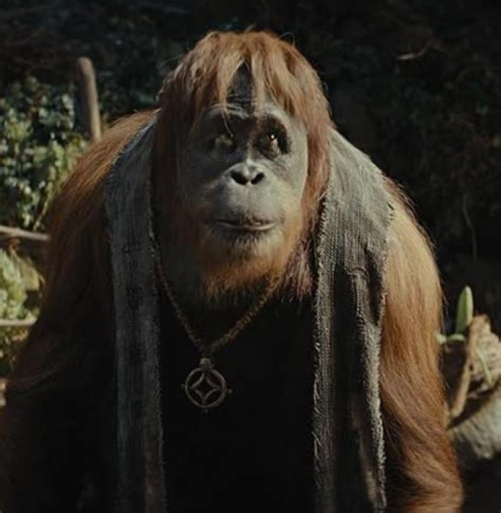 Peter Macon Pets
