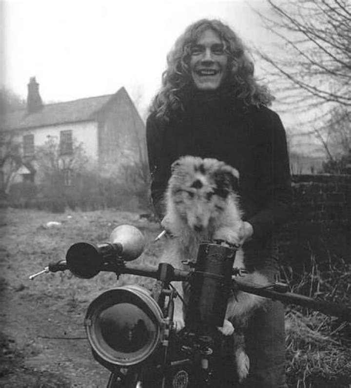 Robert Plant Pets