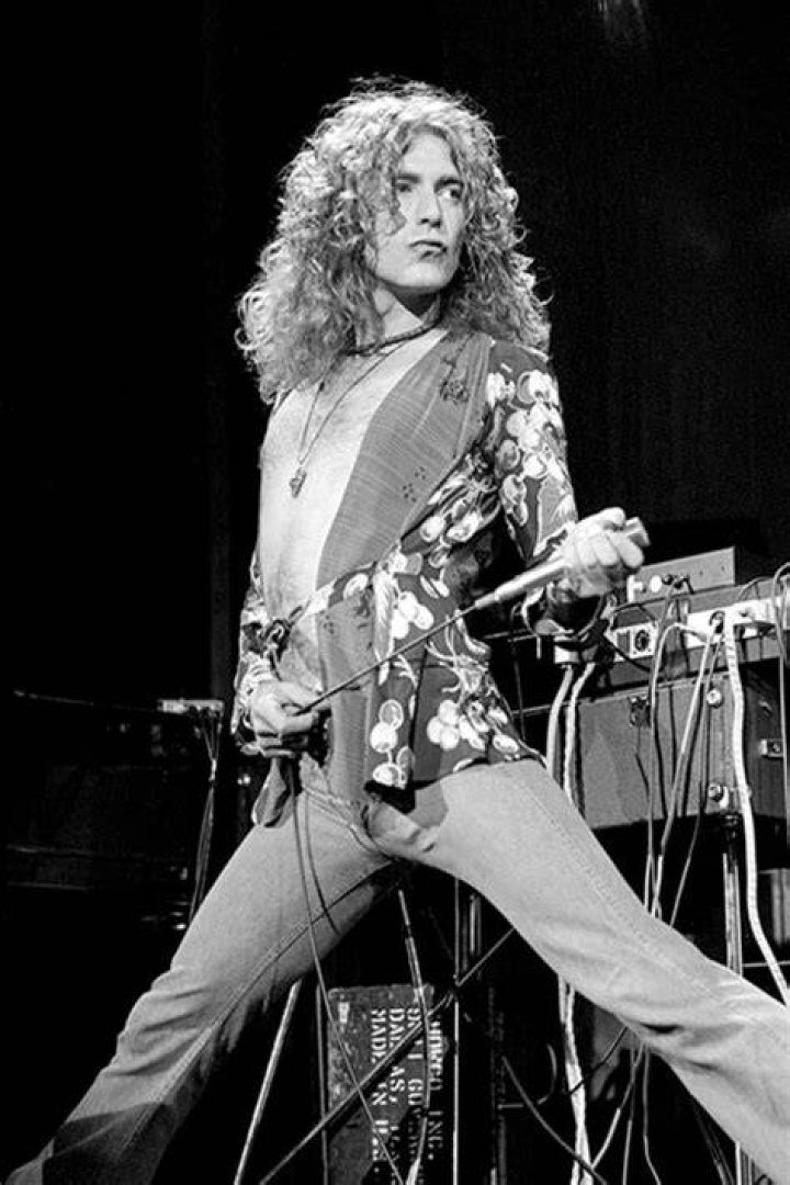 Robert Plant's pet Strider