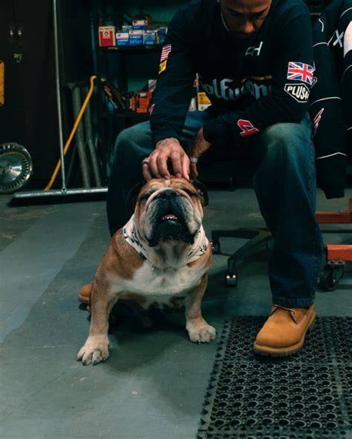 Roscoe Hamilton Instagram