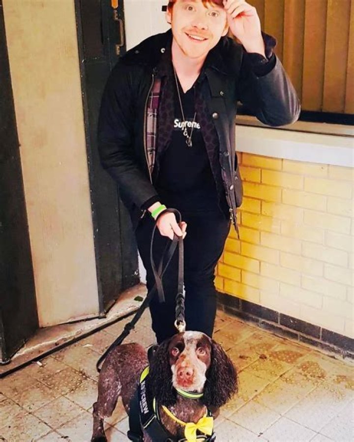 Rupert Grint Pets