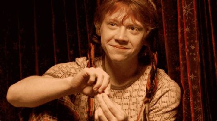 Rupert Grint's pet Alfie