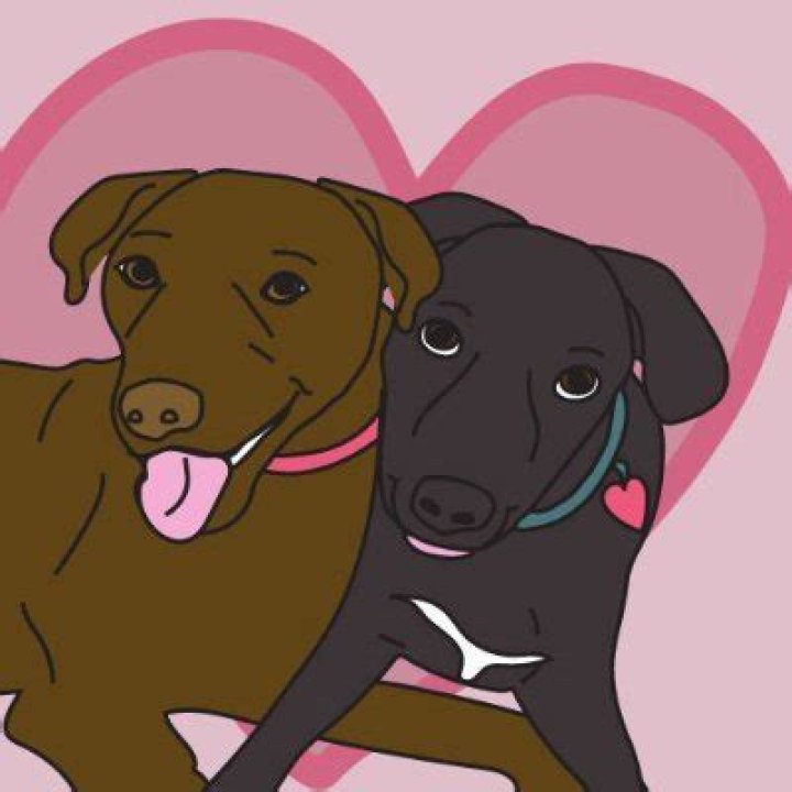 smilesandwaggingtails