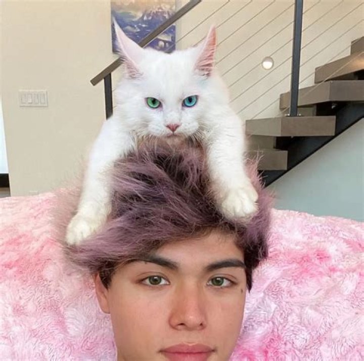 Stokes Twins Pets - Celebrity Pets