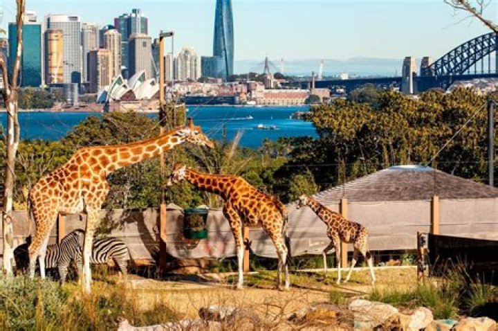 Taronga Zoo