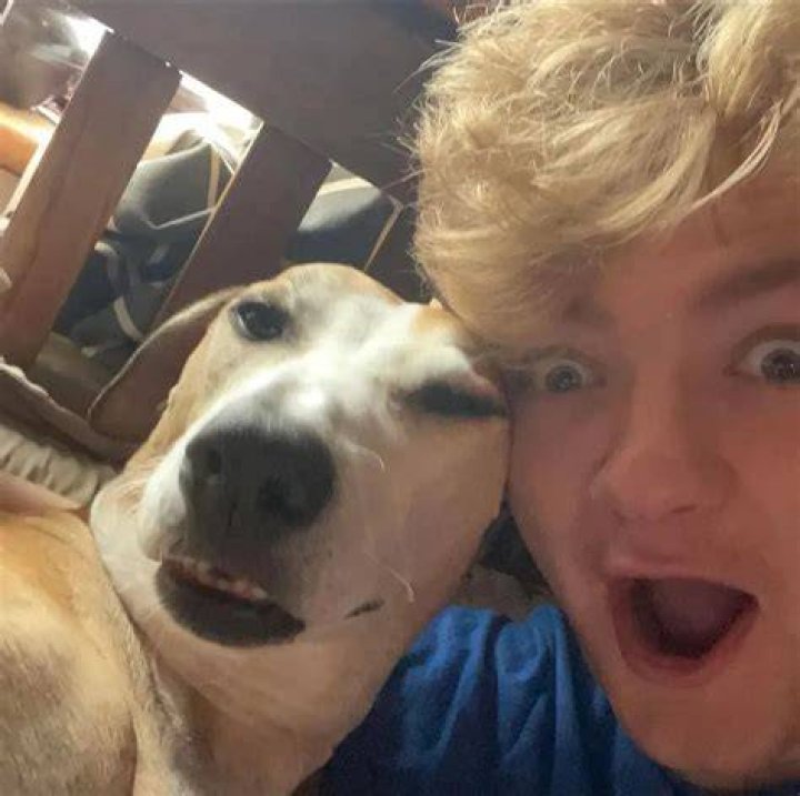 TommyInnit Pets