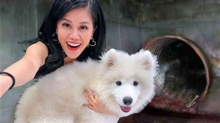 Vy Qwaint Pets