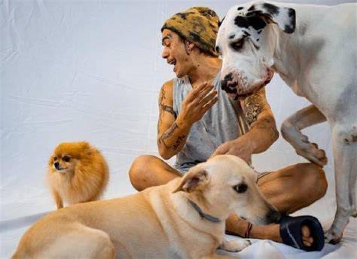 Whindersson Nunes Pets