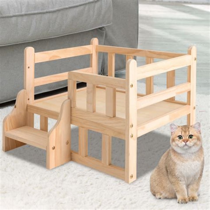 Will Wood Pets